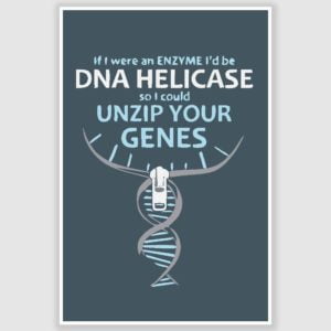 Unzip your Genes Funny Poster (12 x 18 inch)