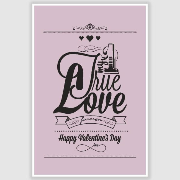 Happy Valentines Day Poster (12 x 18 inch)
