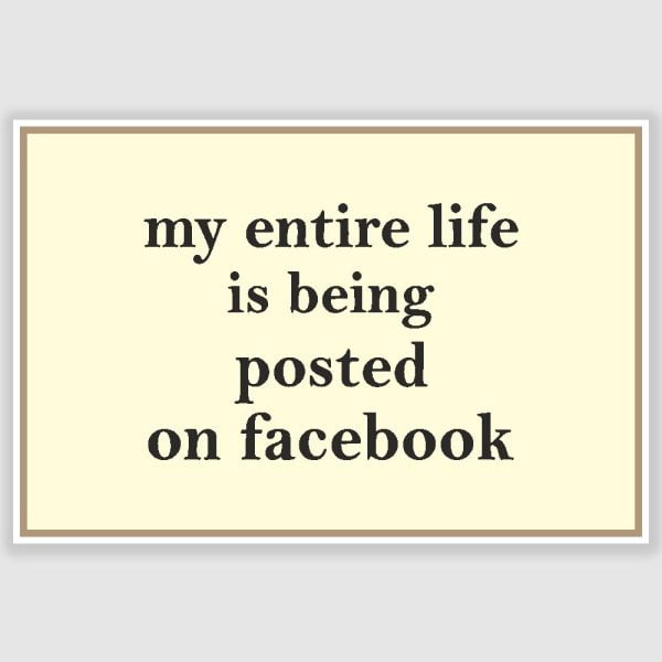 Facebook Funny Poster (12 x 18 inch)