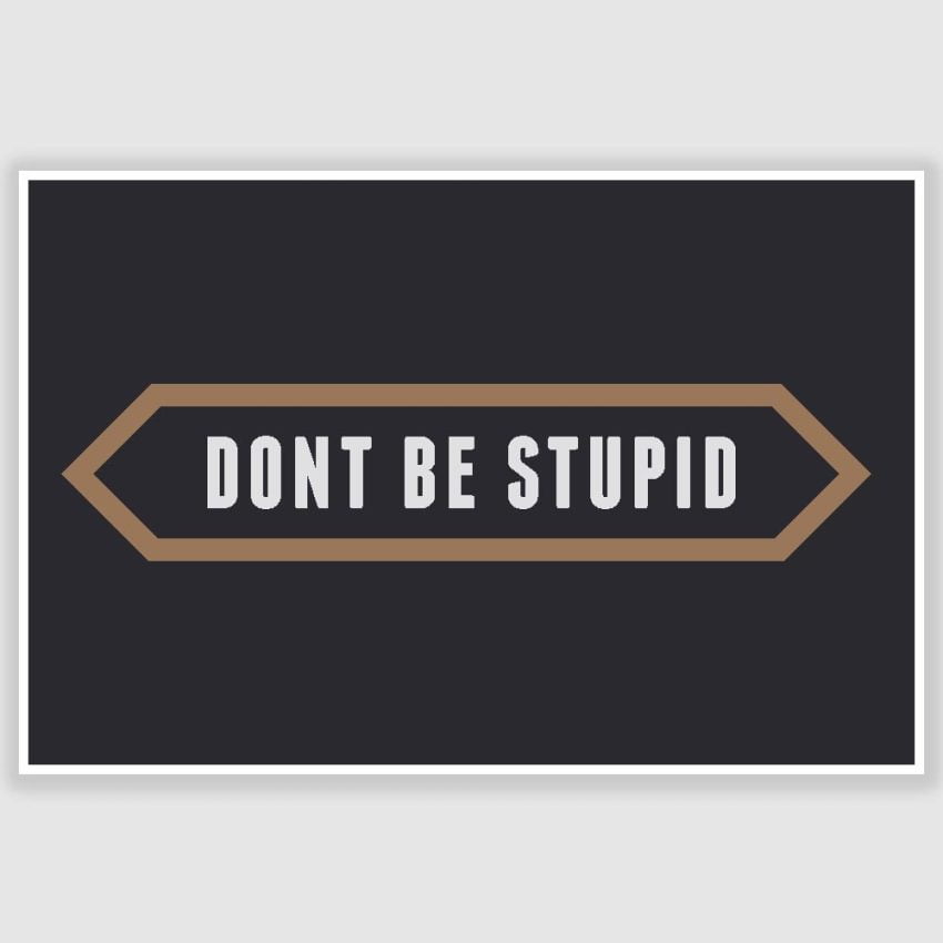 Dont be stupid Inspirational Poster (12 x 18 inch)
