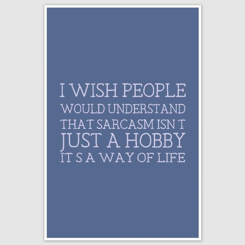 Sarcasm Funny Poster (12 x 18 inch)