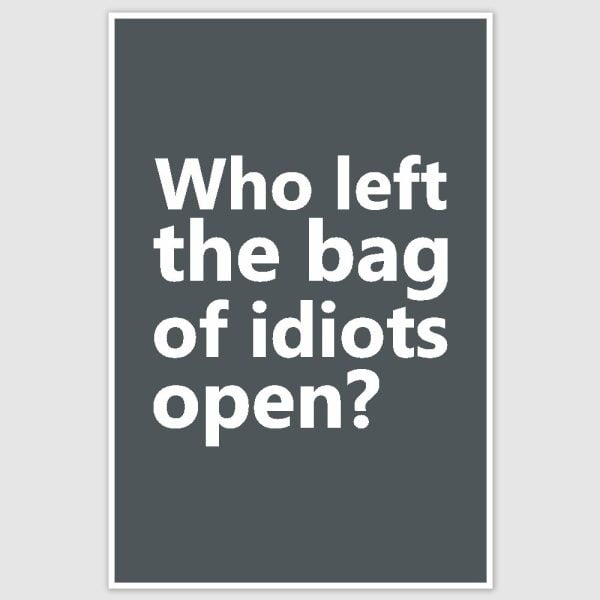Bag Of Idiots Funny Poster (12 x 18 inch)