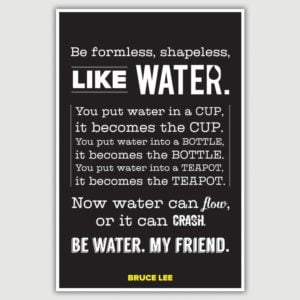 Bruce Lee - Be Like Water Inspirational Poster (12 x 18 inch)