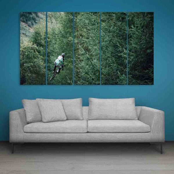 Multiple Frames Cycle Leap Wall Painting (150cm X 76cm)