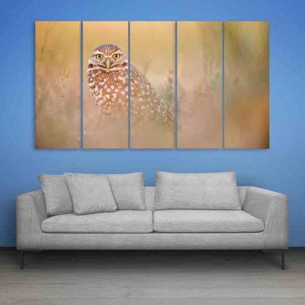 Multiple Frames Beautiful Owl Wall Painting (150cm X 76cm)