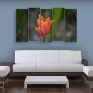 Multiple Frames Beautiful Flower Wall Painting (150cm X 76cm)