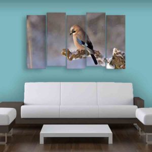Multiple Frames Beautiful Bird Wall Painting (150cm X 76cm)