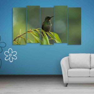 Multiple Frames Beautiful Bird Wall Painting (150cm X 76cm)