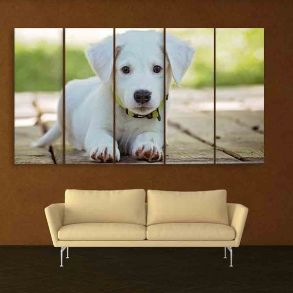 Multiple Frames Cute Dog Wall Painting (150cm X 76cm)