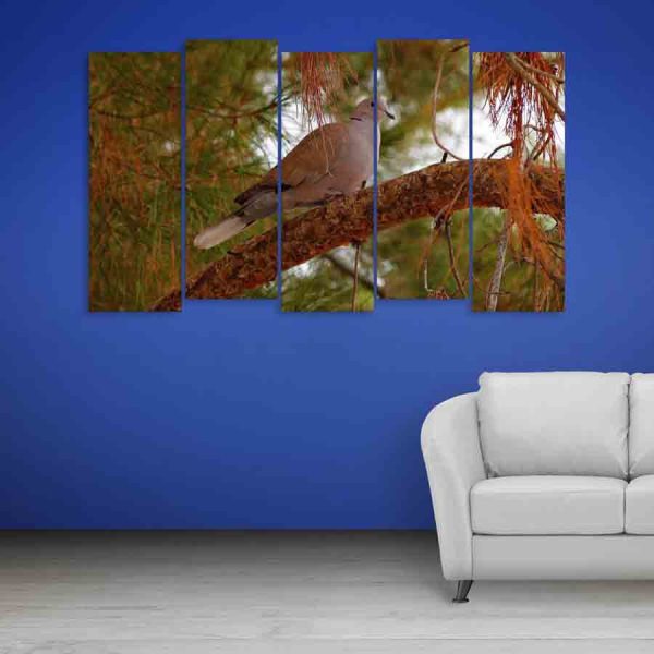 Multiple Frames Bird Wall Painting (150cm X 76cm)