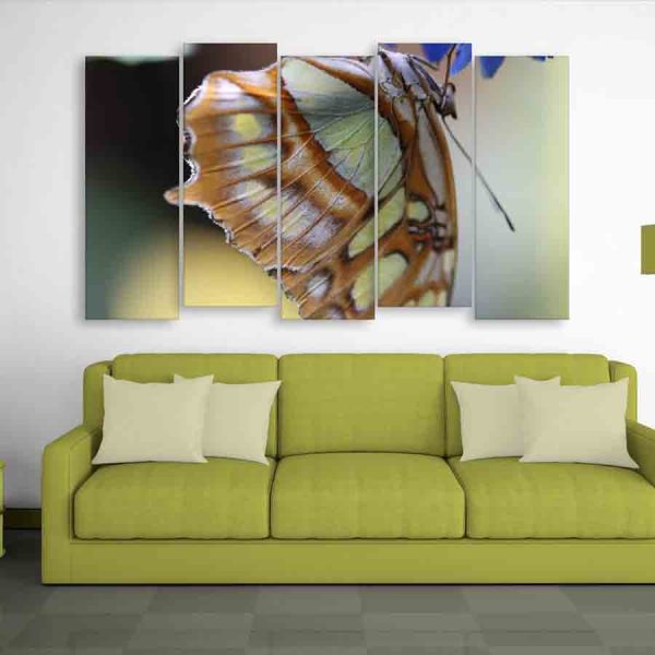 Multiple Frames Butterfly Wall Painting (150cm X 76cm)
