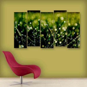 Multiple Frames Grass Wall Painting (150cm X 76cm)