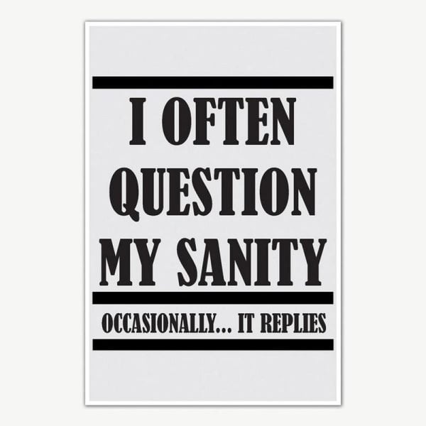 I Often Question My Sanity Quote Poster Art | Funny Posters For Room