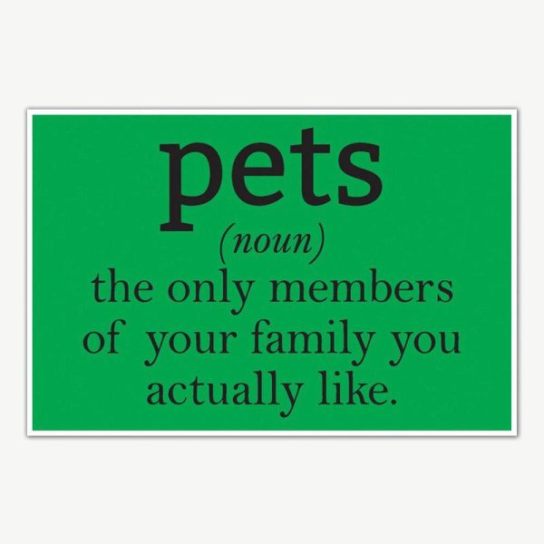 Pets Definition Humor Poster