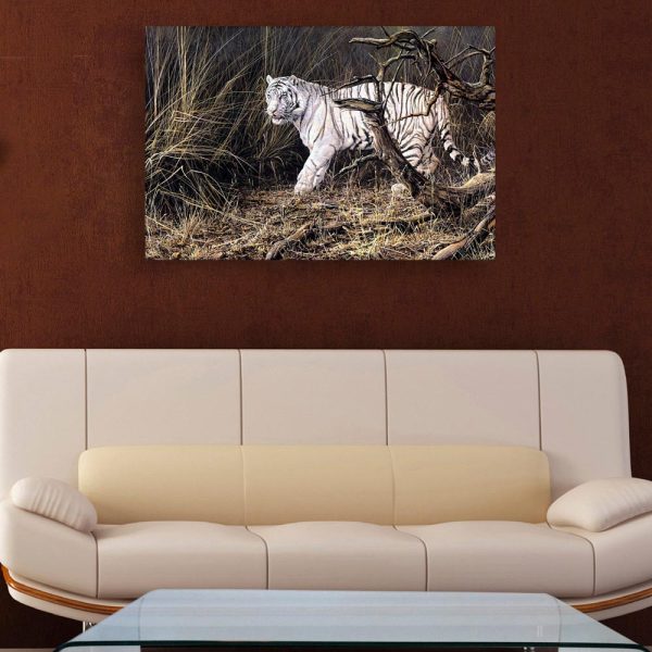 Canvas Painting - Beautiful White Tiger Wildlife Art Wall Painting for Living Room