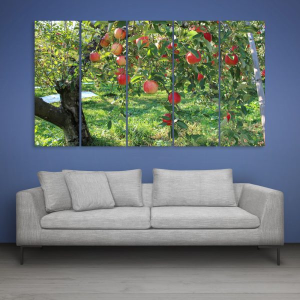 Multiple Frames Apple Tree Wall Painting for Living Room