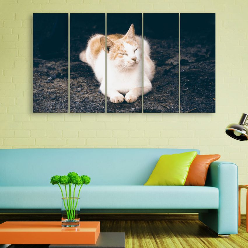 Multiple Frames Beautiful Cat Wall Painting for Living Room