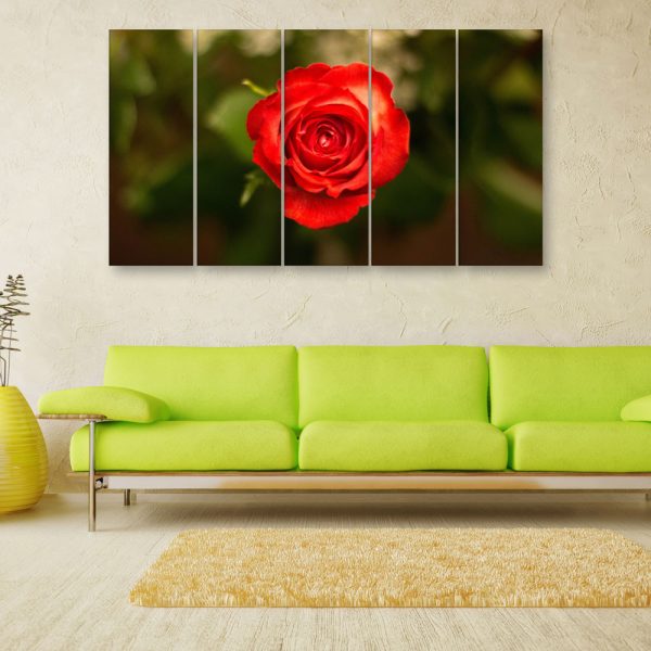 Multiple Frames Beautiful Red Rose Wall Painting for Living Room