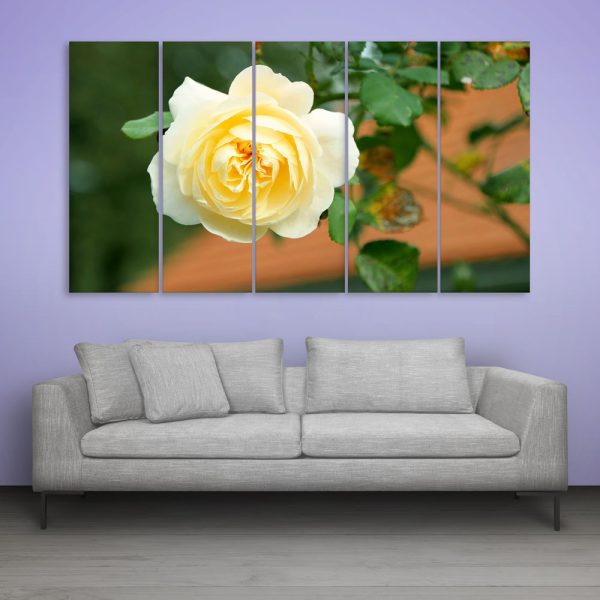Multiple Frames Beautiful Yellow Rose Wall Painting for Living Room