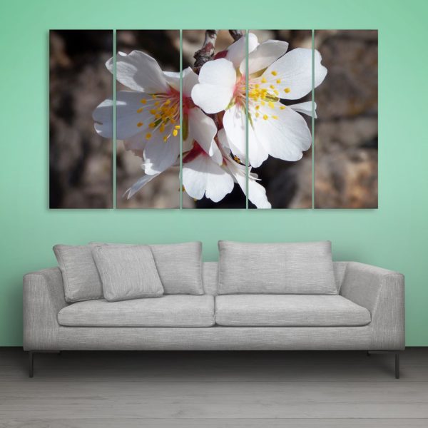 Multiple Frames Beautiful Flower Wall Painting for Living Room