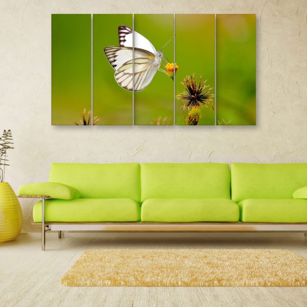 Multiple Frames Beautiful Butterfly Wall Painting for Living Room