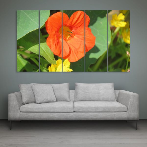 Multiple Frames Beautiful Orange Flower Wall Painting for Living Room