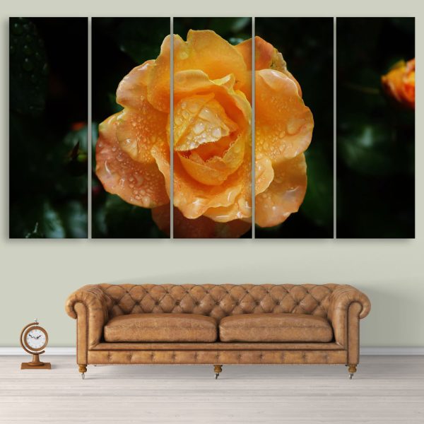 Multiple Frames Beautiful Rose Wall Painting for Living Room
