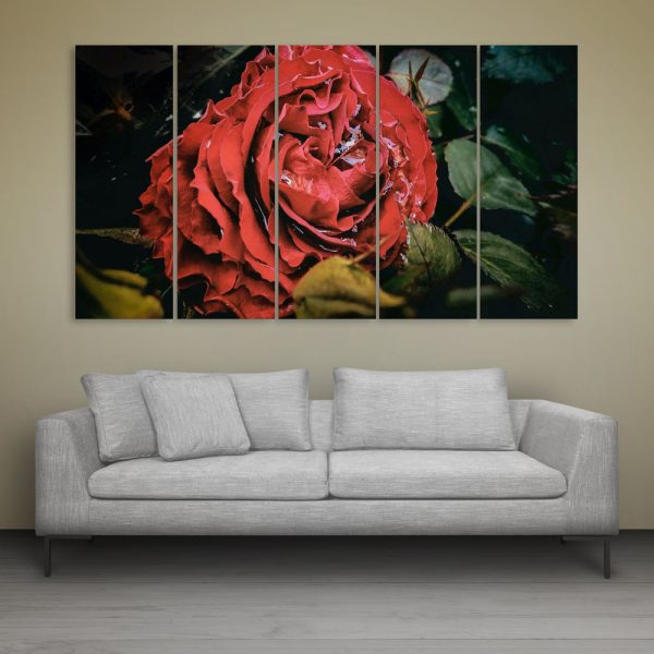 Multiple Frames Beautiful Red Rose Wall Painting for Living Room