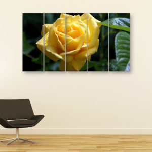 Multiple Frames Beautiful Yellow Flower Wall Painting for Living Room