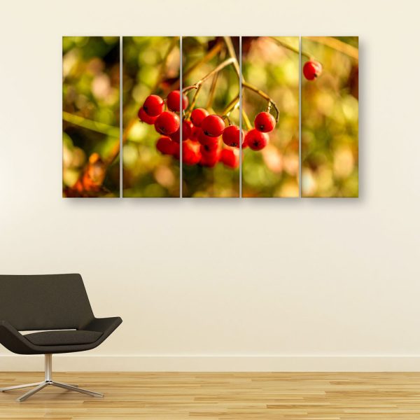 Multiple Frames Beautiful Berries Wall Painting for Living Room