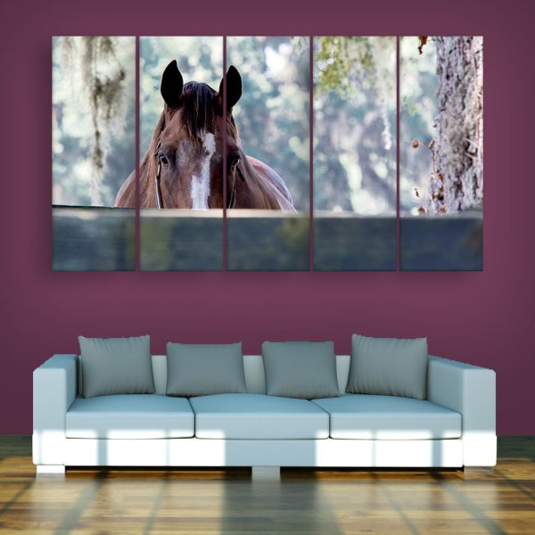 Multiple Frames Beautiful Horse Wall Painting for Living Room