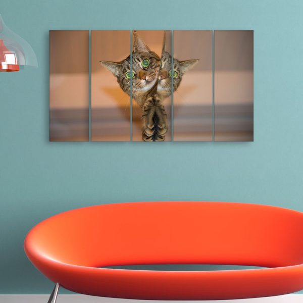 Multiple Frames Beautiful Cat Wall Painting for Living Room