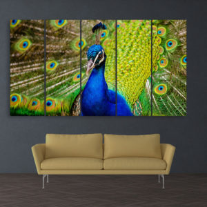 Multiple Frames Beautiful Peacock Wall Painting for Living Room