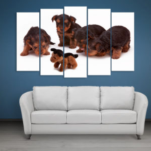 Multiple Frames Beautiful Puppies Wall Painting for Living Room