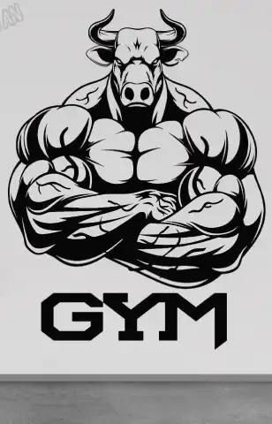 gym4